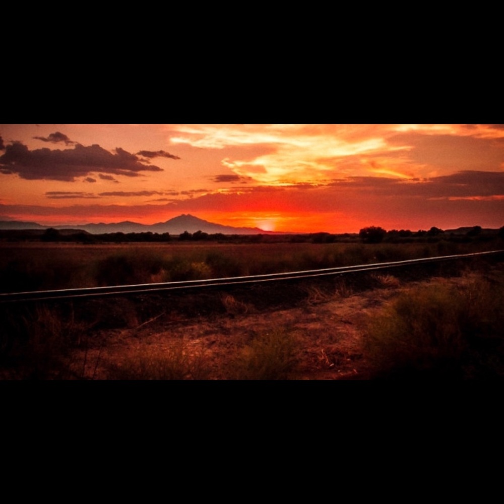 Meet your Posher, Shari